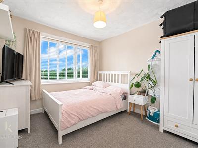Picture 19